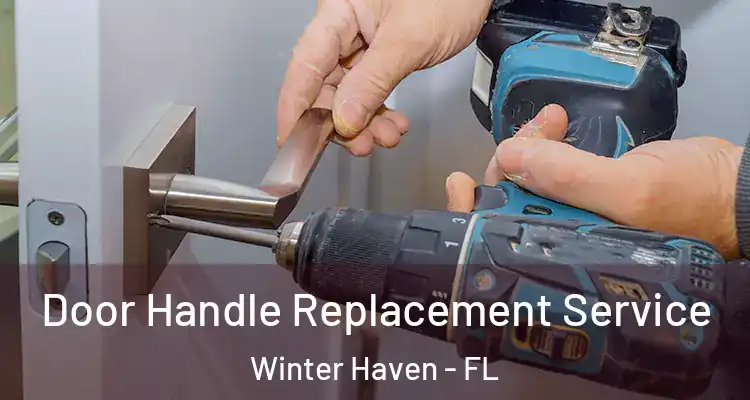 Door Handle Replacement Service Winter Haven - FL