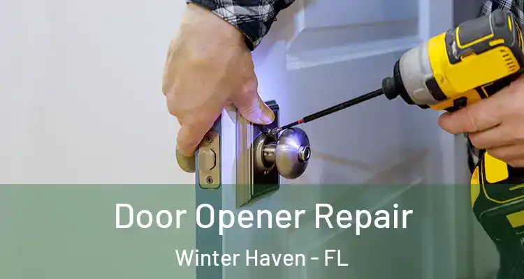 Door Opener Repair Winter Haven - FL