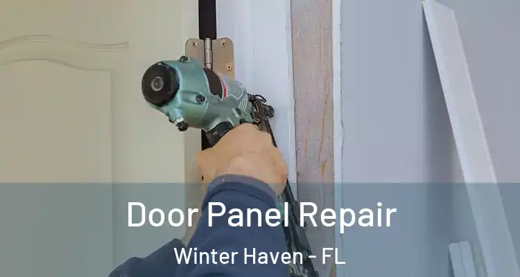 Door Panel Repair Winter Haven - FL