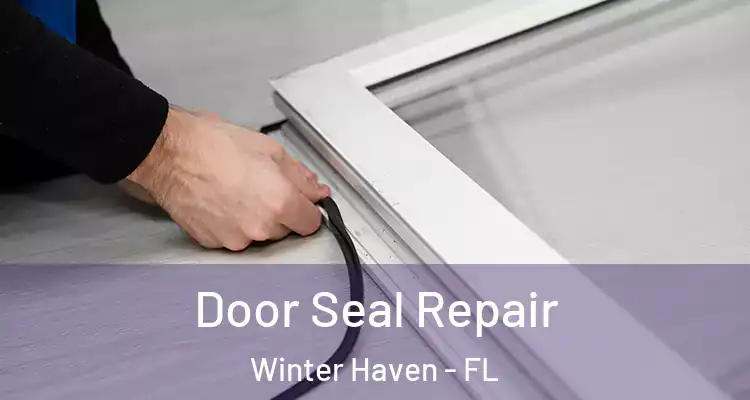 Door Seal Repair Winter Haven - FL