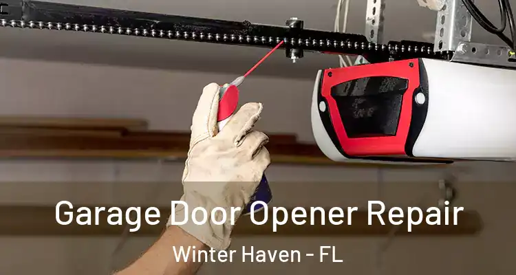 Garage Door Opener Repair Winter Haven - FL