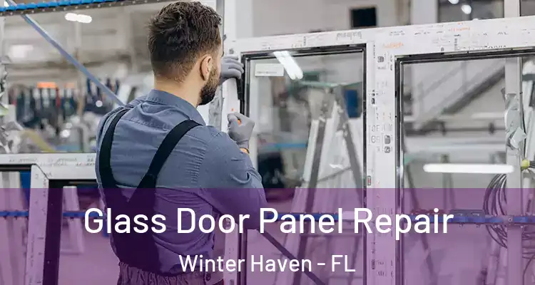 Glass Door Panel Repair Winter Haven - FL