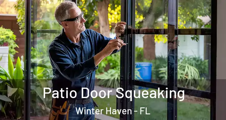 Patio Door Squeaking Winter Haven - FL