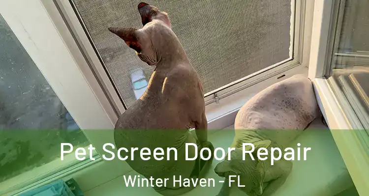  Pet Screen Door Repair Winter Haven - FL