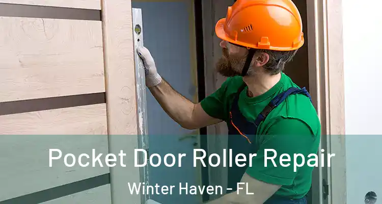 Pocket Door Roller Repair Winter Haven - FL