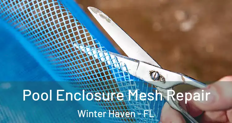 Pool Enclosure Mesh Repair Winter Haven - FL